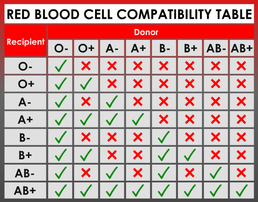 The Blood Typing Game - about blood groups, blood typing and blood  transfusions